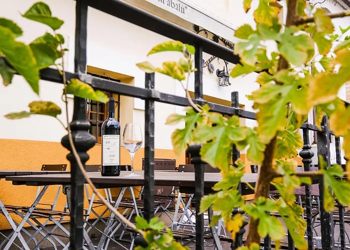 Appart hôtel Sklep U Hrabalu 3*